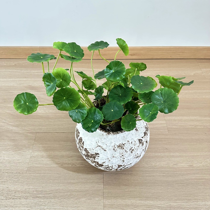 2 шт. Искусственные листья пил – обзор и цена Bonsai Garden Wall