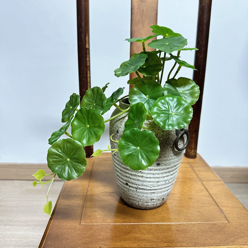 2 шт. Искусственные листья пил – обзор и цена Bonsai Garden Wall